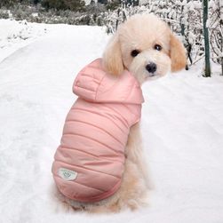 Kutya kabát Joy