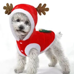 Oblek pre psa Santa