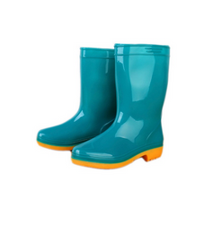 Women's rain boots Aliana