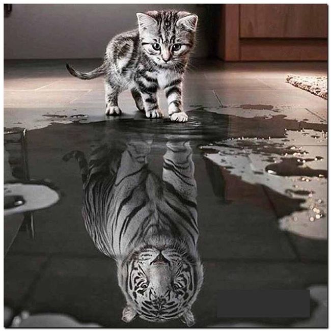 Mozaikový obrázek s koťátkem a bílým tygrem 1