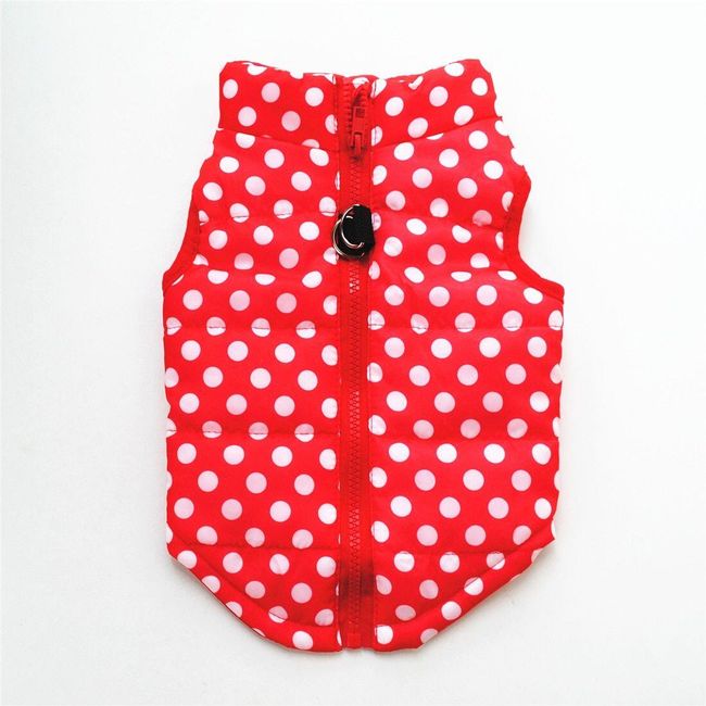 Clothes for dog or cat Everly 1