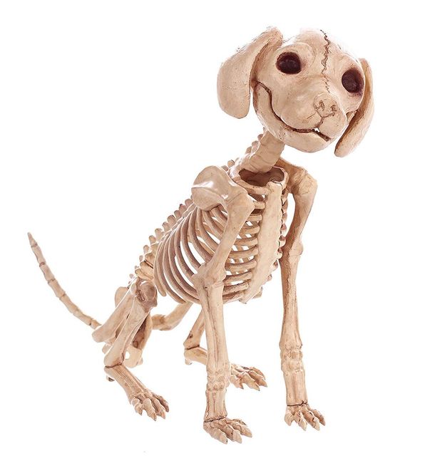 Скелет на куче или котка 1