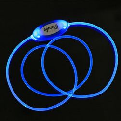 LED ogrlica za pse - 4 boje