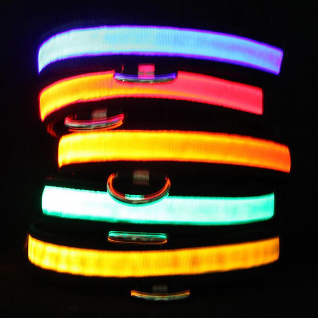 Świecąca LED obroża dla waszych pieszczochów 1
