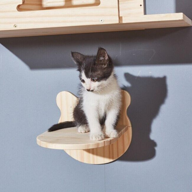 Cat shelf TF4101 1