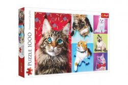 Puzzle Šťastné kočky 1000 dílků RM_89110591