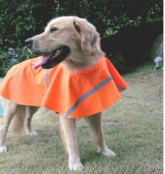 Дъждобран за куче със светлоотражателни елементи