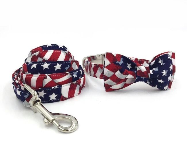 Set frumos de accesorii pentru câini și cățele - stil american 1