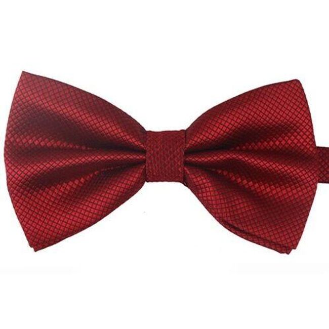 Men´s bow tie Fiento 1