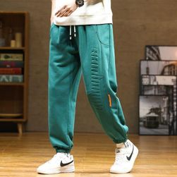 Men's sweatpants Ray