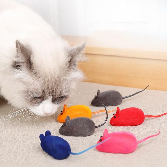 Cat toy VW43 1