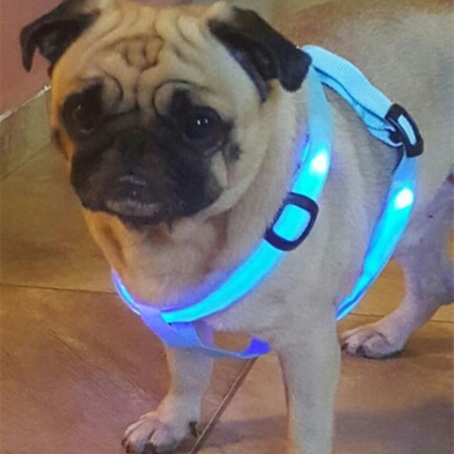 Nylonový LED postroj pro psy - 6 barev 1