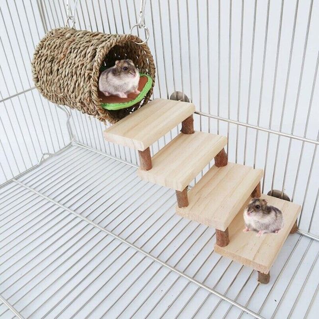 Hamster house B012769 1