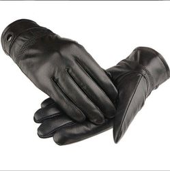 Мъжки зимни ръкавици Dillen