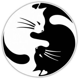 Autocolant yin yang cu pisici