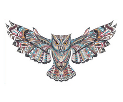 Samolepka Owl