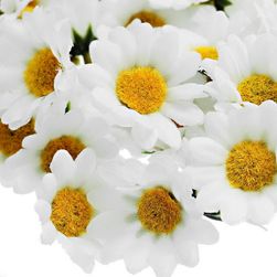 100 umělých květin ve tvaru sedmikrásek