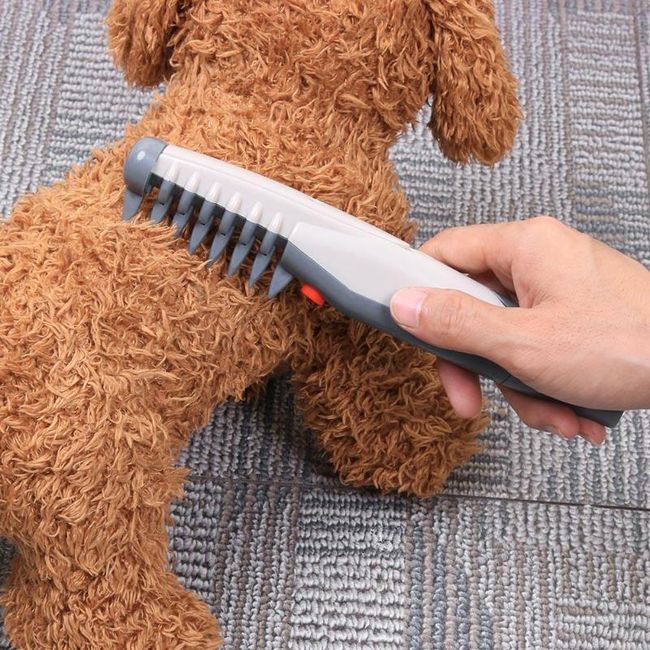 Hair clipper for cats and dogs F27 1