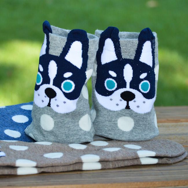 Veselé ponožky s pejsky - 5 variant 1