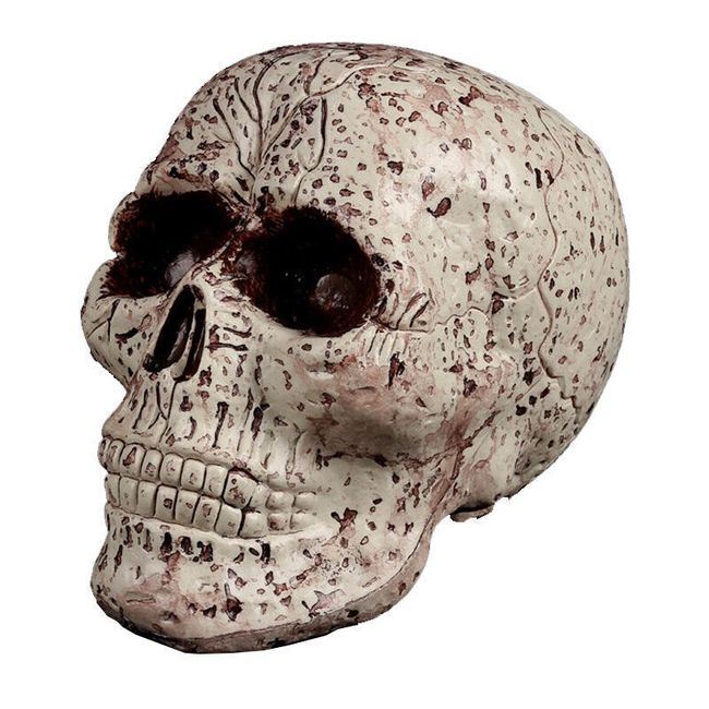 Craniu pentru Halloween 1
