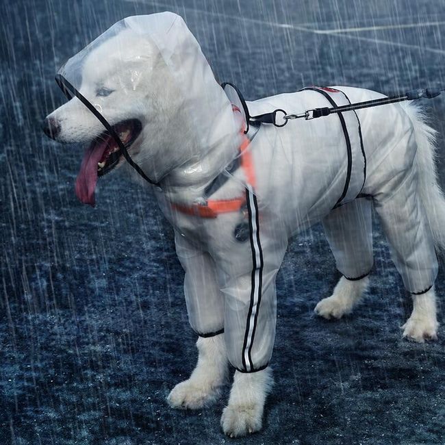 Esőkabát egy kutya számára Melissa 1