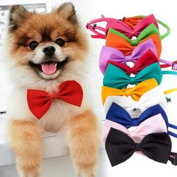 Dog bow tie GG07