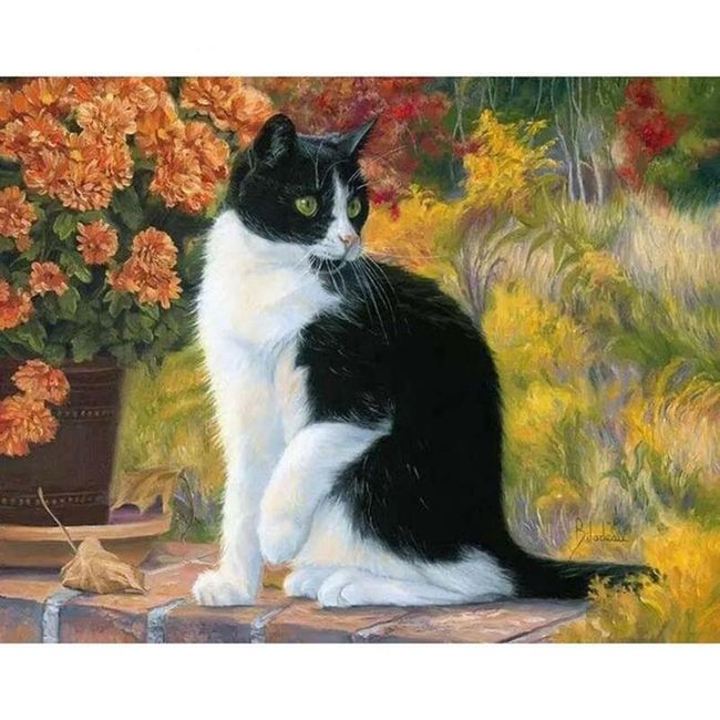 DIY festmény fekete-fehér macska 1