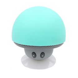 Portable wireless speaker BR01