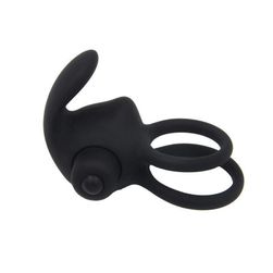 Vibrating ring B02329