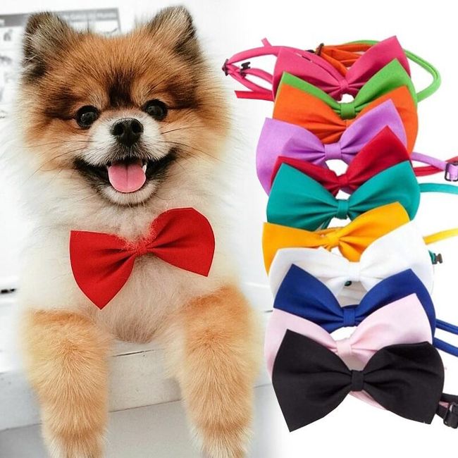 Dog bow tie GG07 1