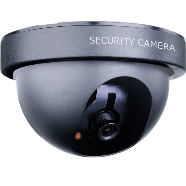 SW CS44D Cameră simulată cu LED intermitent ZO_282982 1