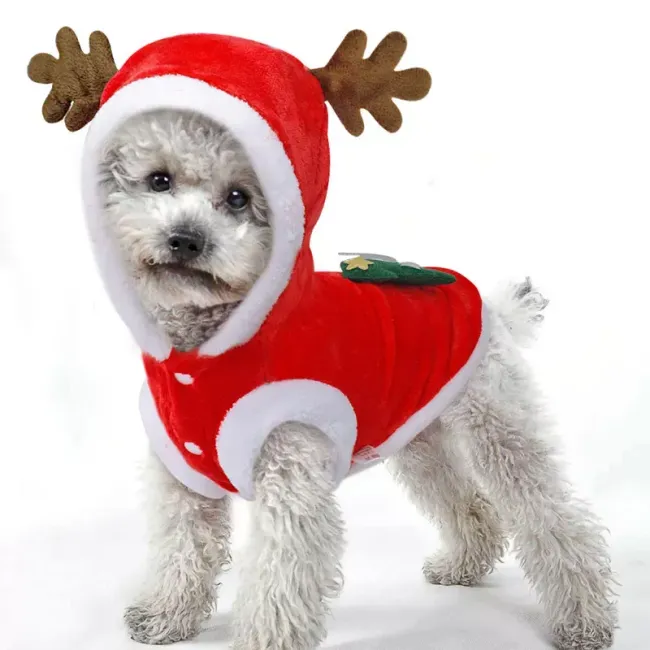 Obleka za pse Christmas 1