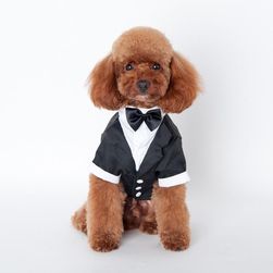 Costum pentru câine - tuxedo