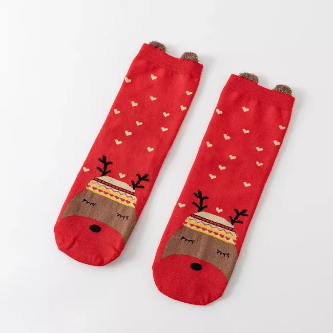 Vánoční ponožky G25 1