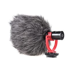 Microphone M2