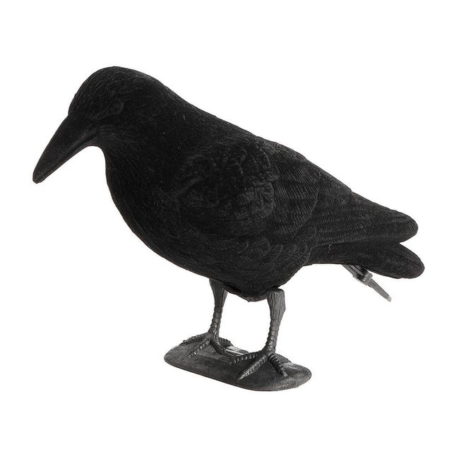 Halloweenska dekorácia - čierna vrana 1