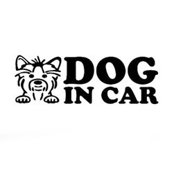 Samolepka s nápisem - Dog in car