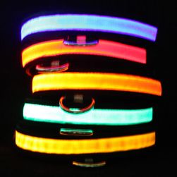Svítící LED obojek pro domácí mazlíčky