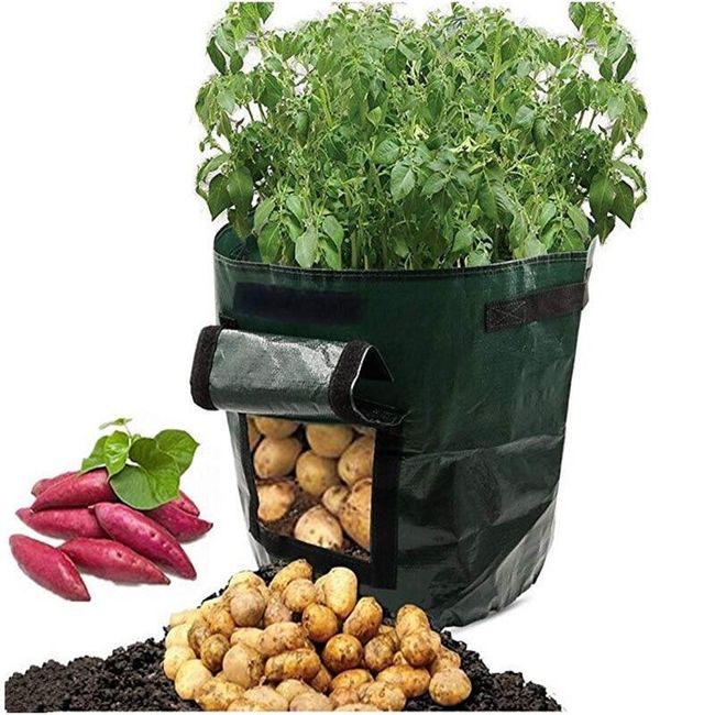 Bag for growing potatoes PPB11 1