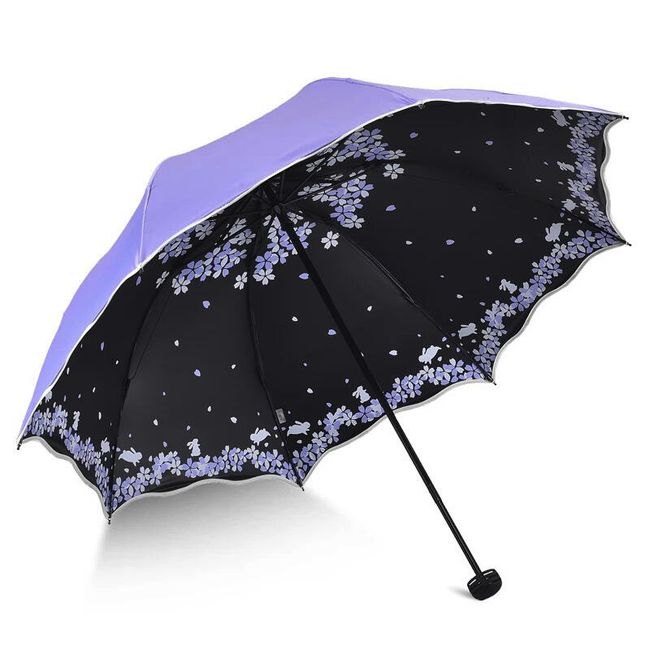 Umbrella D645 1
