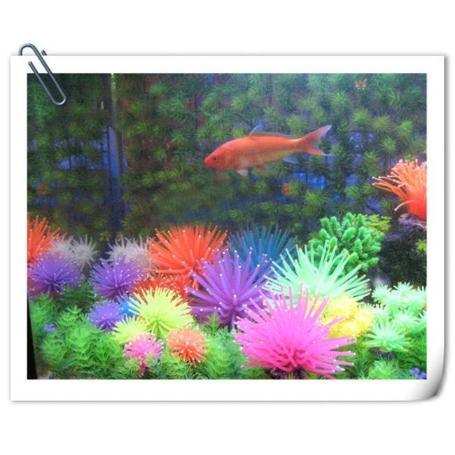Dekorace do akvária korál - 6 barev 1