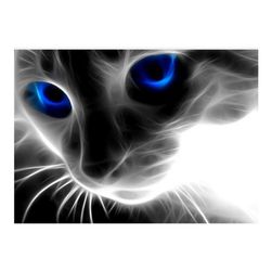 5D slika z mačko - 2 barvi