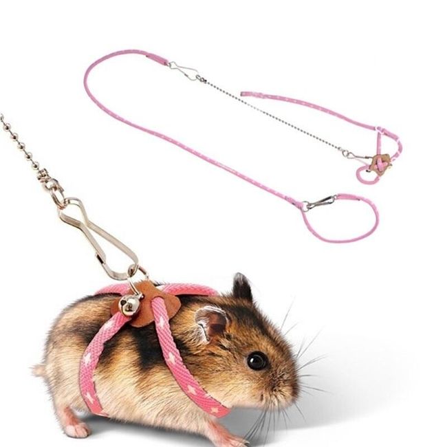 Rodent harness TM623 1