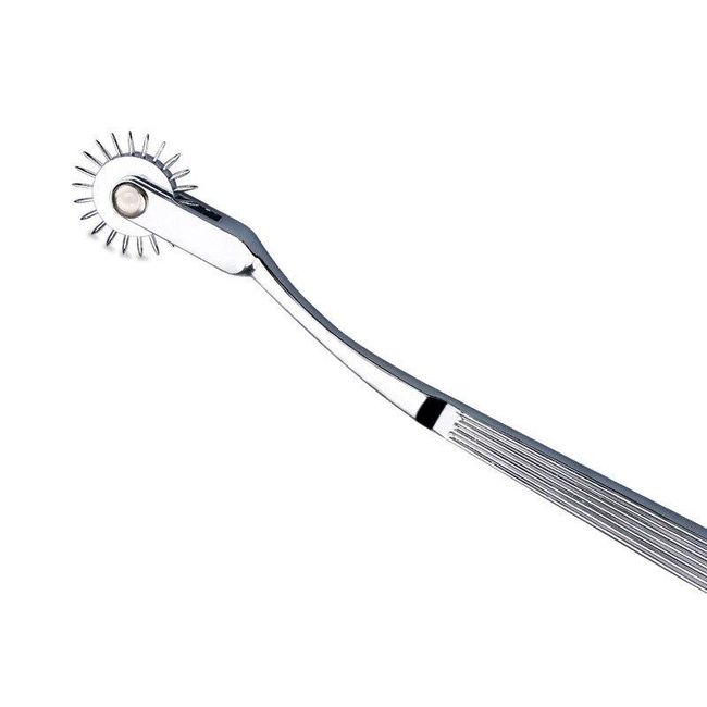 Wartenberg wheel VK5 1