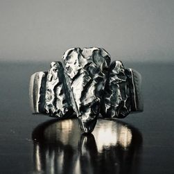 Muški prsten X-200