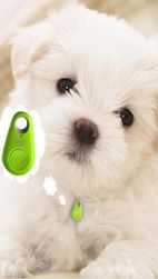 Bluetooth védelem háziállatokhoz és poggyászhoz