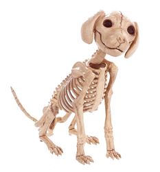 Скелет на куче или котка