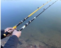 Fishing rod EW81