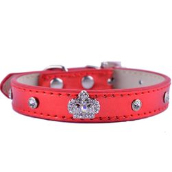 Pet collar B015933