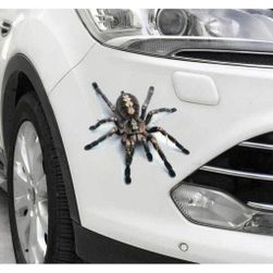 3D nálepka na auto Spider ZO_ST00344